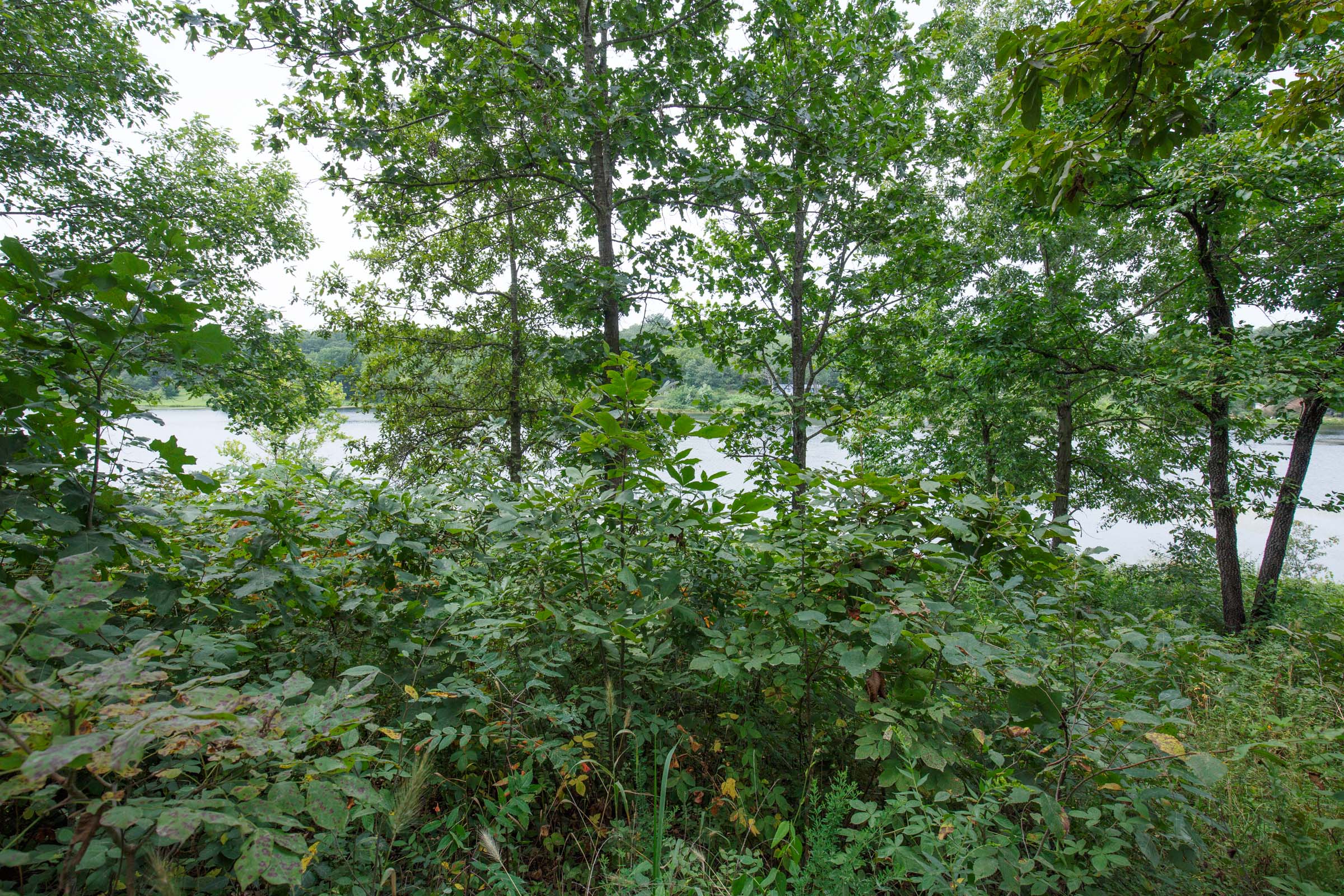 Tract 26 at Springlake in Miller County, Missouri