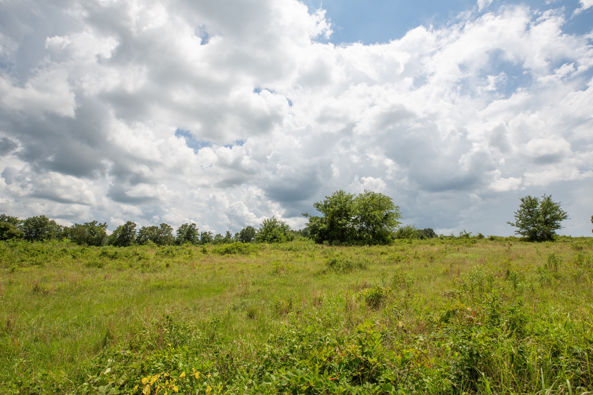 Tract 14 at Paradise Valley in Pittsburg County, Oklahoma