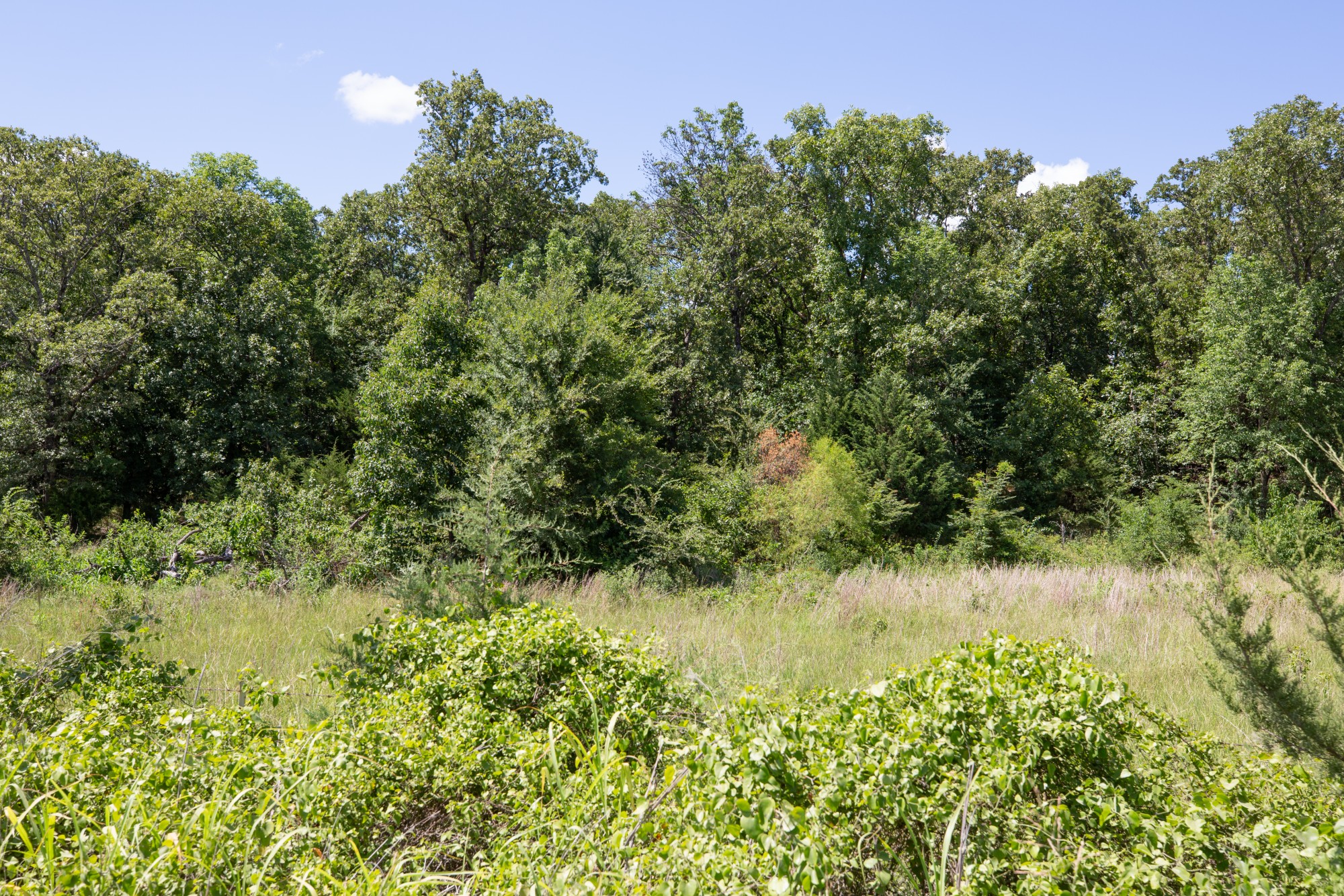 Tract 22 at Paradise Valley in Pittsburg County, Oklahoma