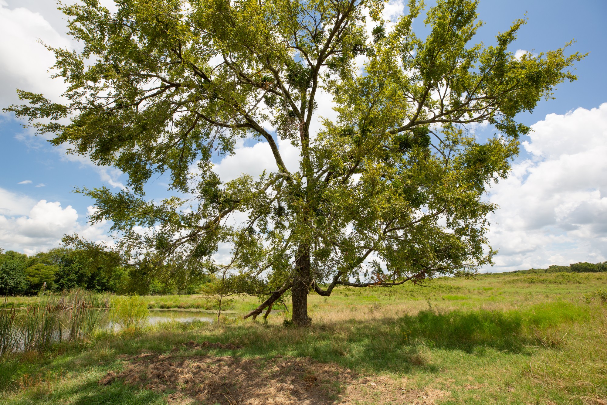 Tract 5 at Paradise Valley in Pittsburg County, Oklahoma