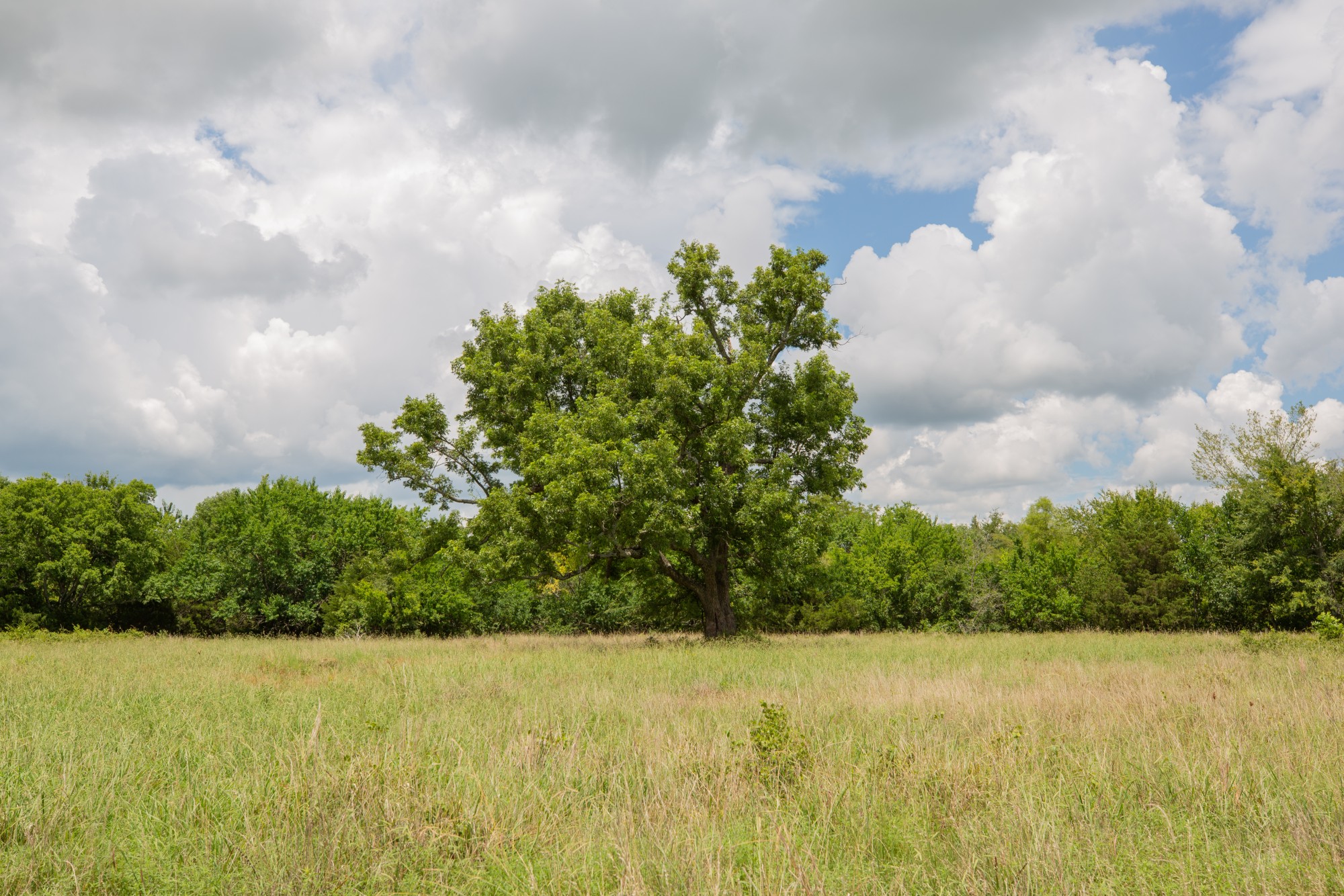 Tract 8 at Paradise Valley in Pittsburg County, Oklahoma